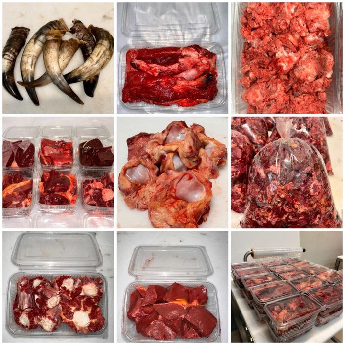 Hrana Câini Proteică | Carne de cal | Hrană crudă |