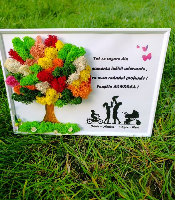 Tablouri decorate cu licheni