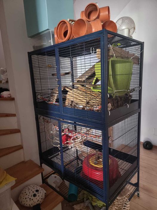 Cusca mare pt sobolani:  Savic Suite Royale super de luxe