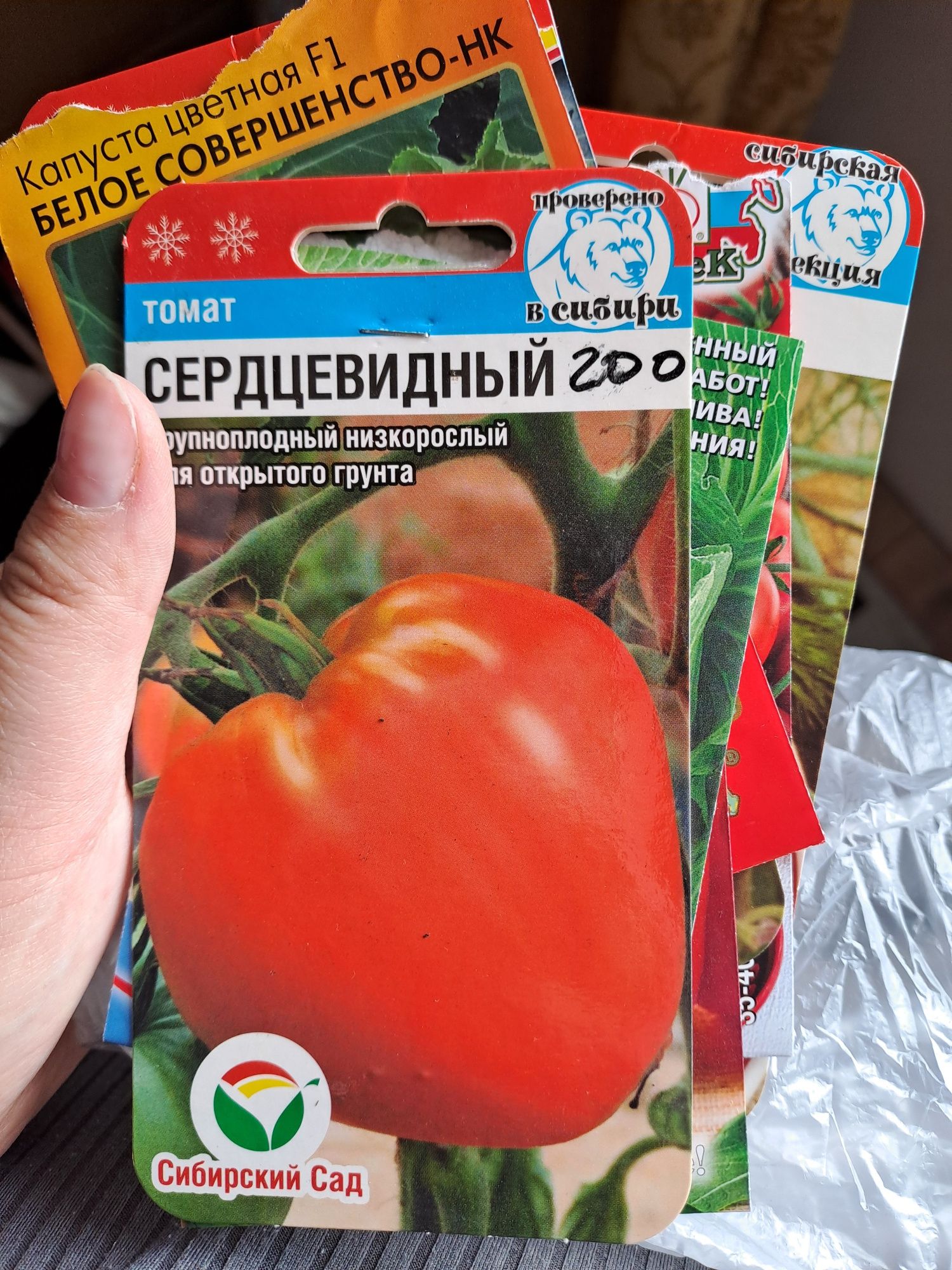 Продам рассаду помидоров