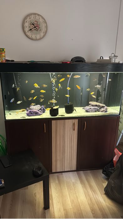 Acvariu complet 450 litri