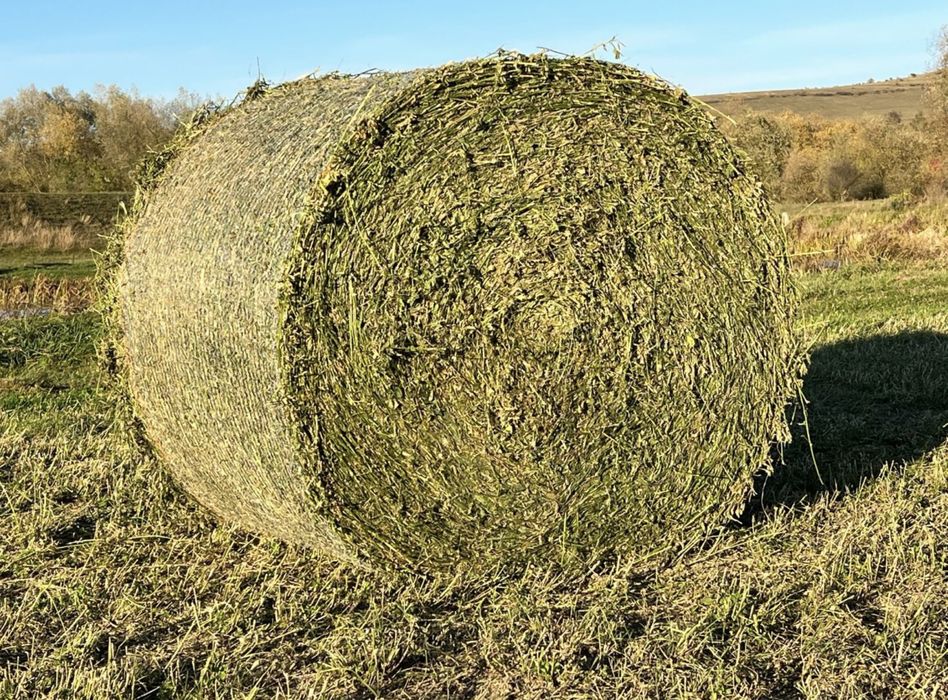 Baloti lucerna baloti fan rotunzi neplouati