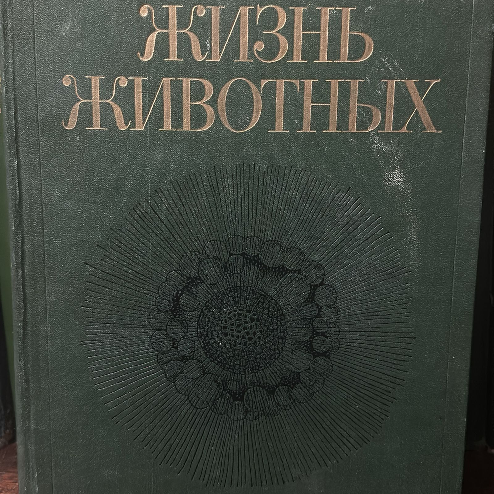 Комплект книг - Жизнь животных