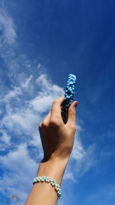 Zgardă pentru câini