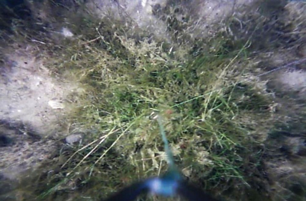 Риболовна камера FISHSPY