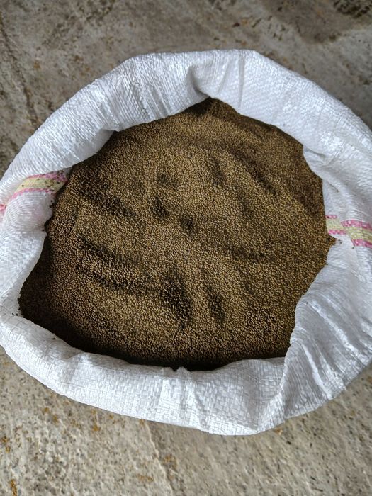 Sămânță de lucernă