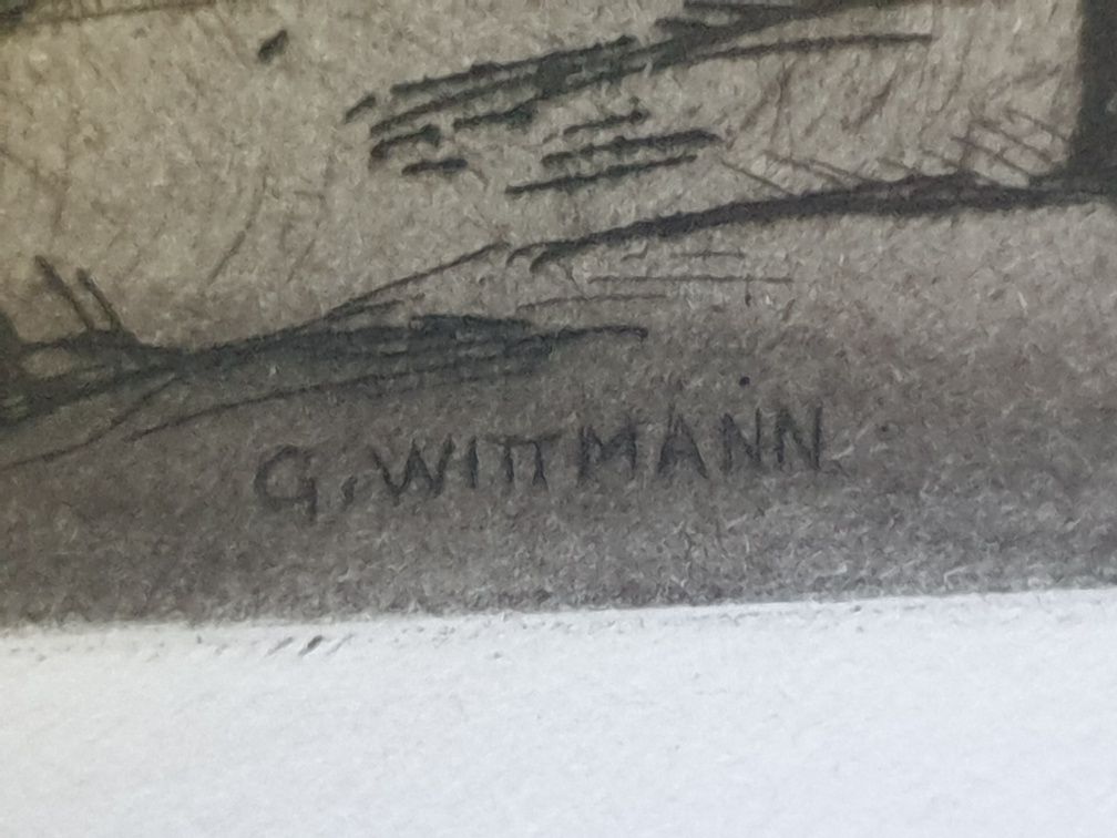 Tablou cu rama din lemn. Este semnat G. Wittmann.  Peisaj