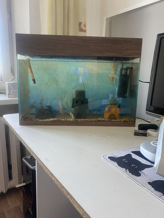 Аквариум  с  рыбами