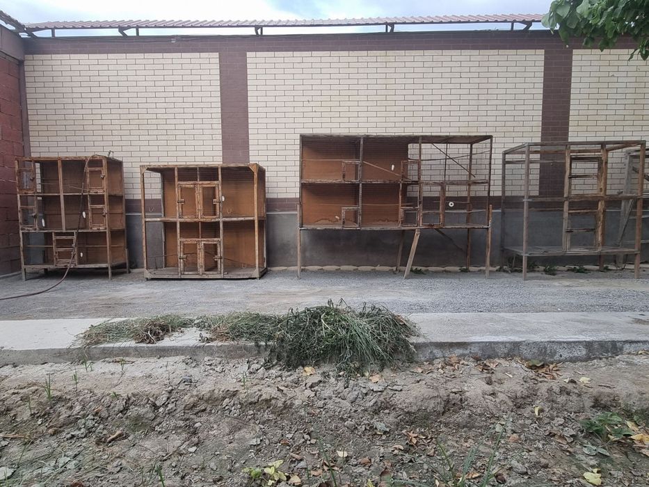 Qushlar uchun qafasni zori