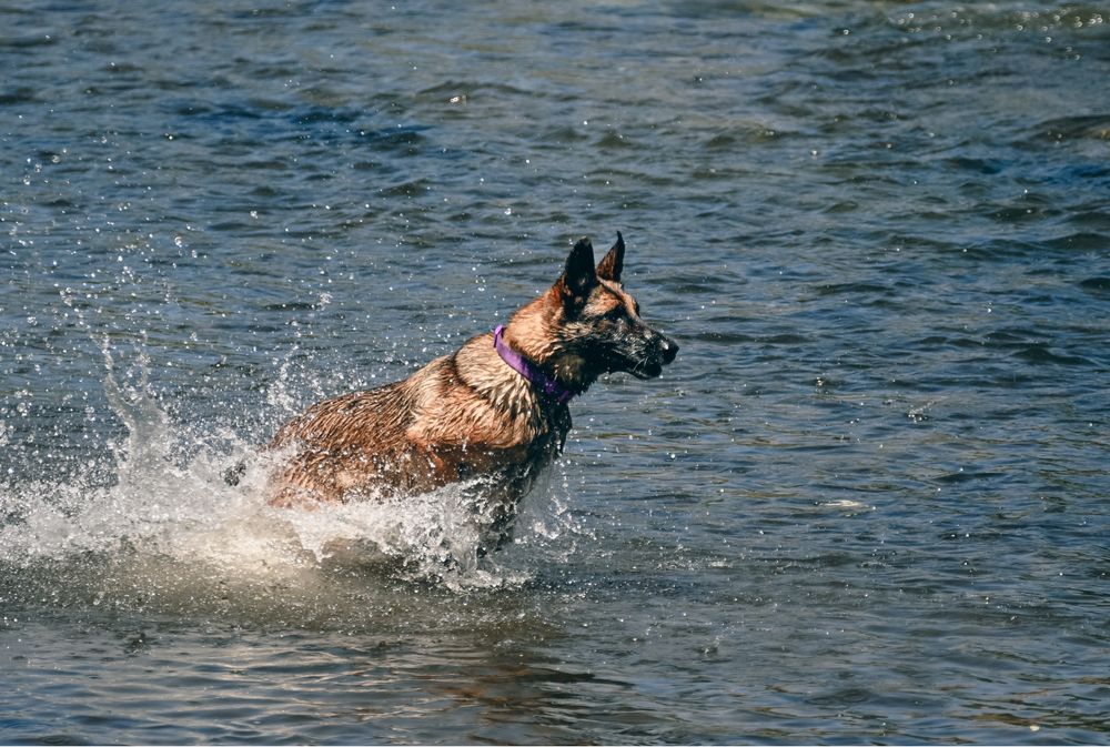 Ședințe foto – Portofoliu în dezvoltare | Preț accesibil și flexibil