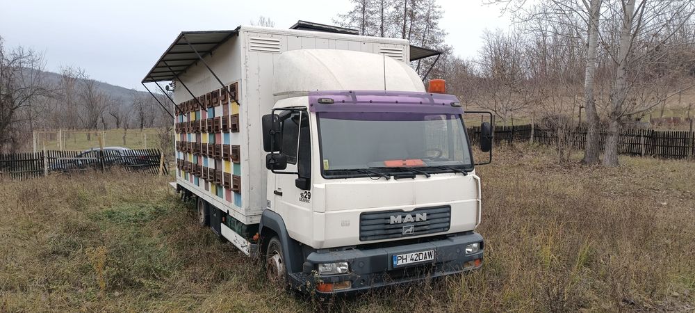 Camion Man 12 tone apicol