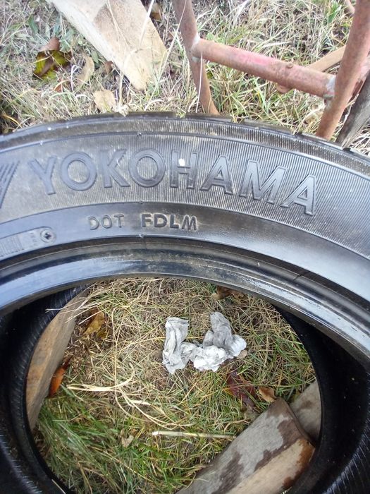 Yokohama winter  r 17