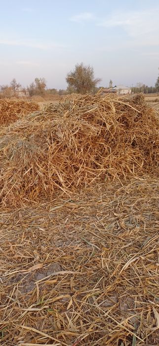 Станция Найман кол