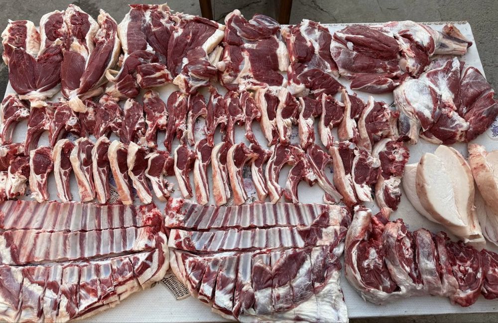 Halol qo’zi qo’chqorlar, qassob, kalla pocha