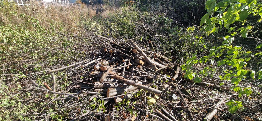 Безплатно/ Дърва за огрев различни видове,нарязани.