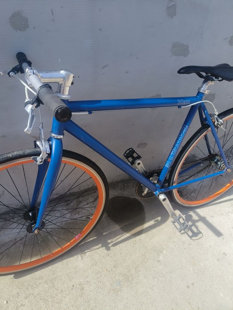 Curseră blue forelle singlespeed 2018