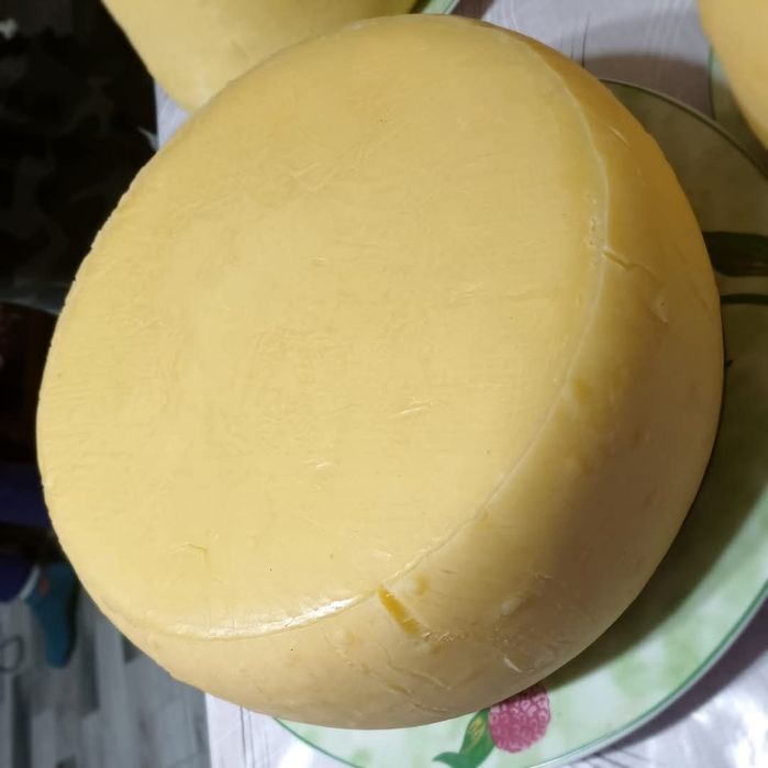 Caș din lapte de vaca 40 lei kg