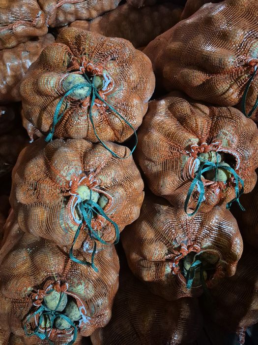 Картофель в сетках