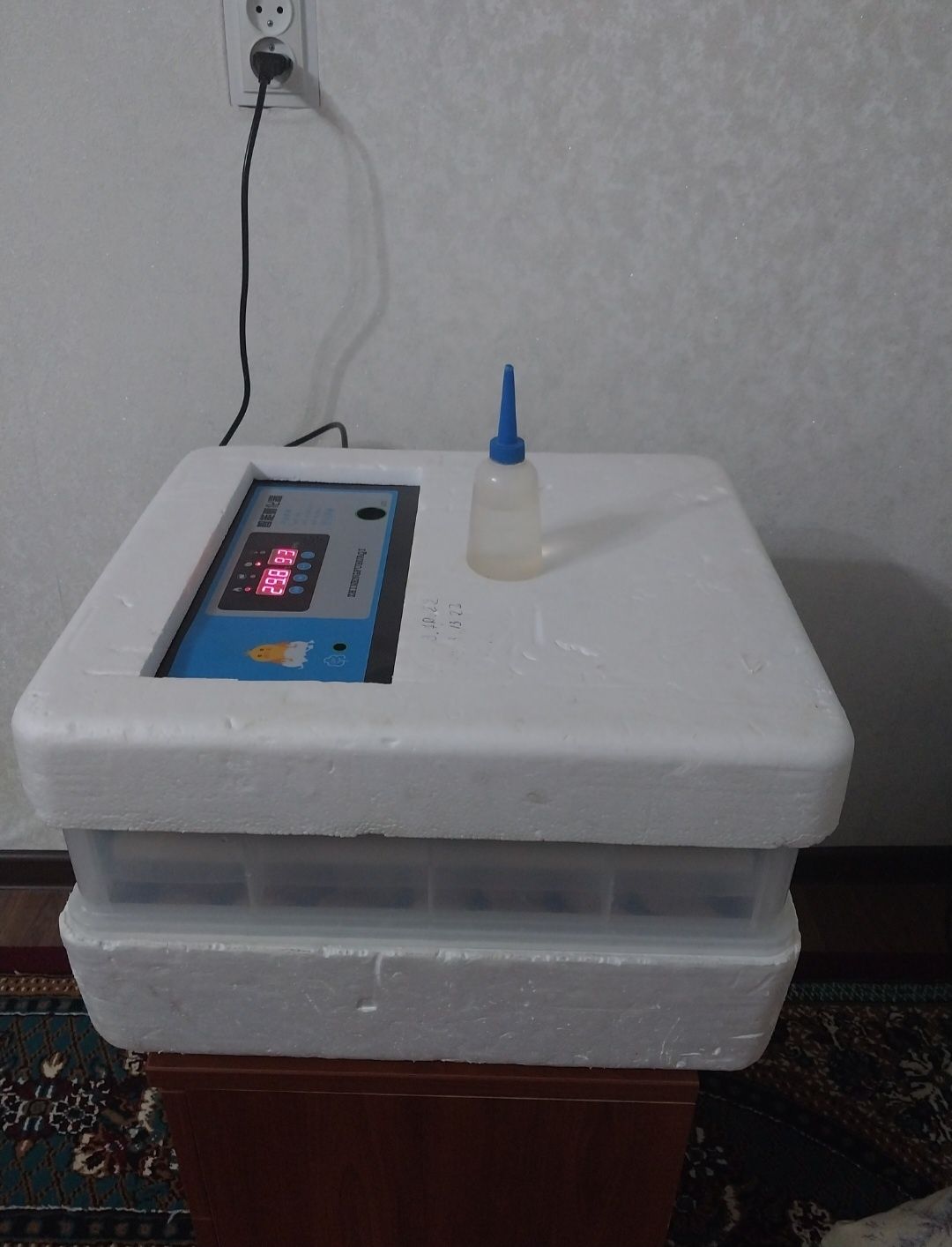 Инкубатор 100 жұмыртқаға арналған, кез келген құстың жұмыртқасын шығар