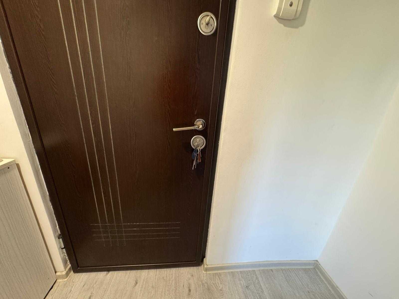 Usa metalica apartament