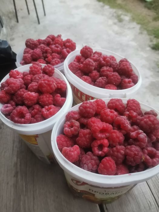 Продам малину замороженную 1л