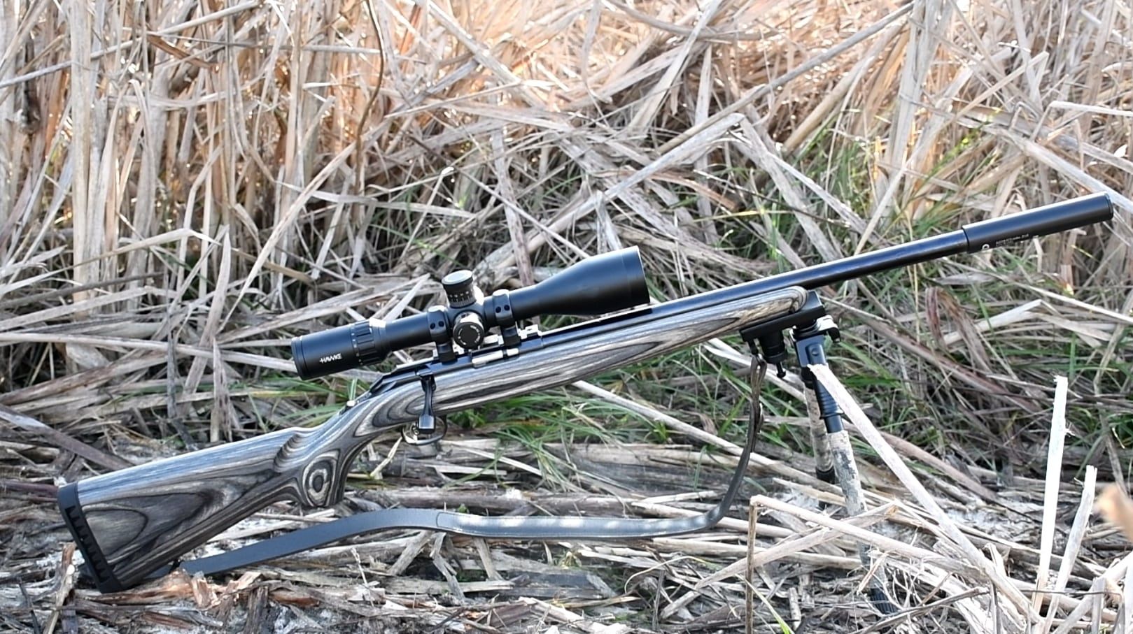 Ruger American Rimfire Target cal. 17 HMR