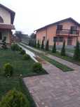 Plante decorative