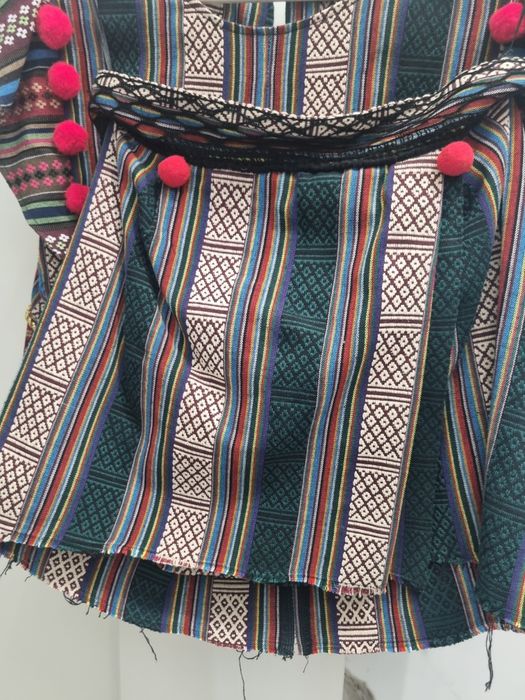 Vesta și fusta Dana Budeanu