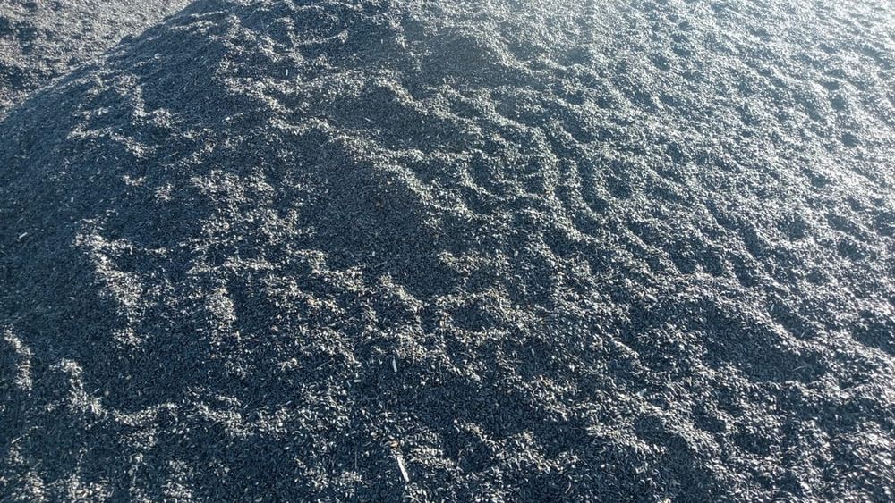 Продам Семечку подсолнух