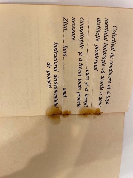 carnet de pionieri