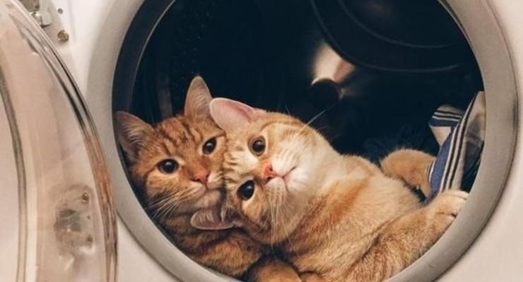 Ремонт стиральных машин автомат с выездом