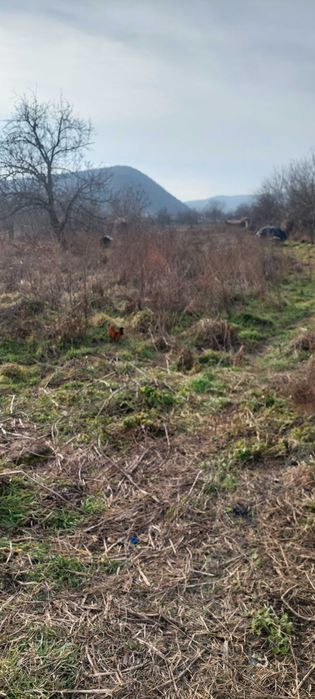 Teren+ casa de vanzare #Lipovenesc#