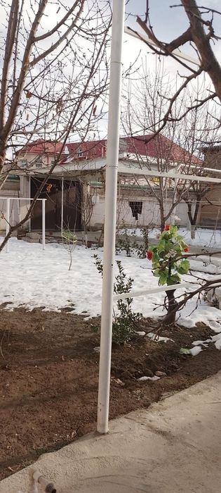 Keles novoiyda uchaska sotiladi