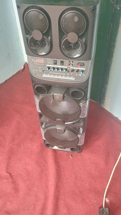 Тонколона с два микрофона