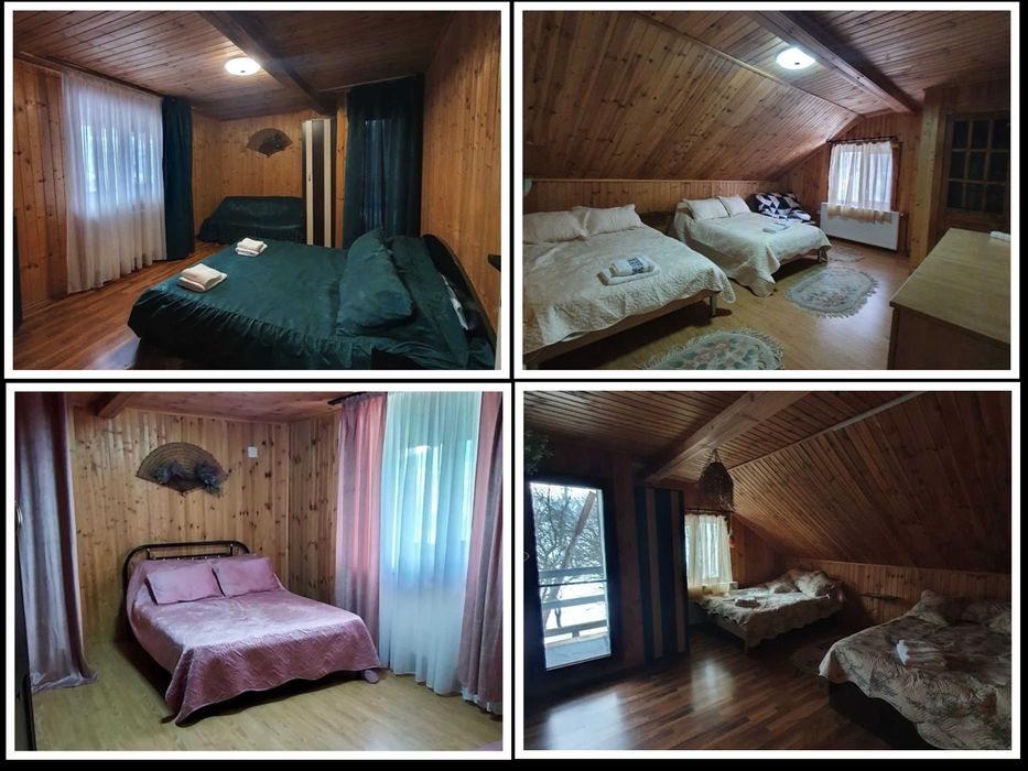 Vand casa de vacanta in Valea Doftanei , teren, vila, Paltinu, natura