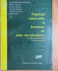 Vasile Miftode - Populatii vulnerabile si fenomene deauto-marginalizar