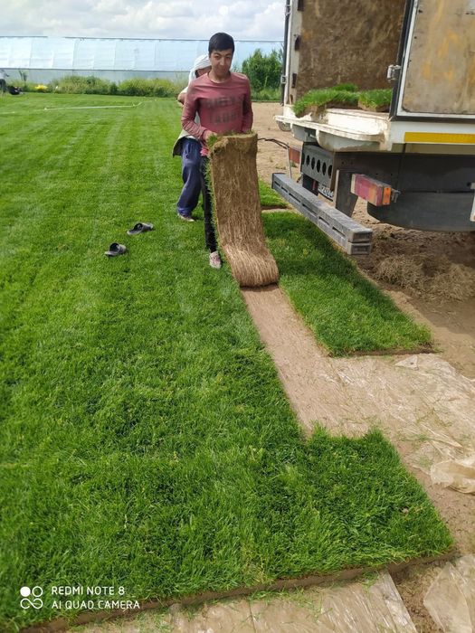 Landshaft dizayni  25000