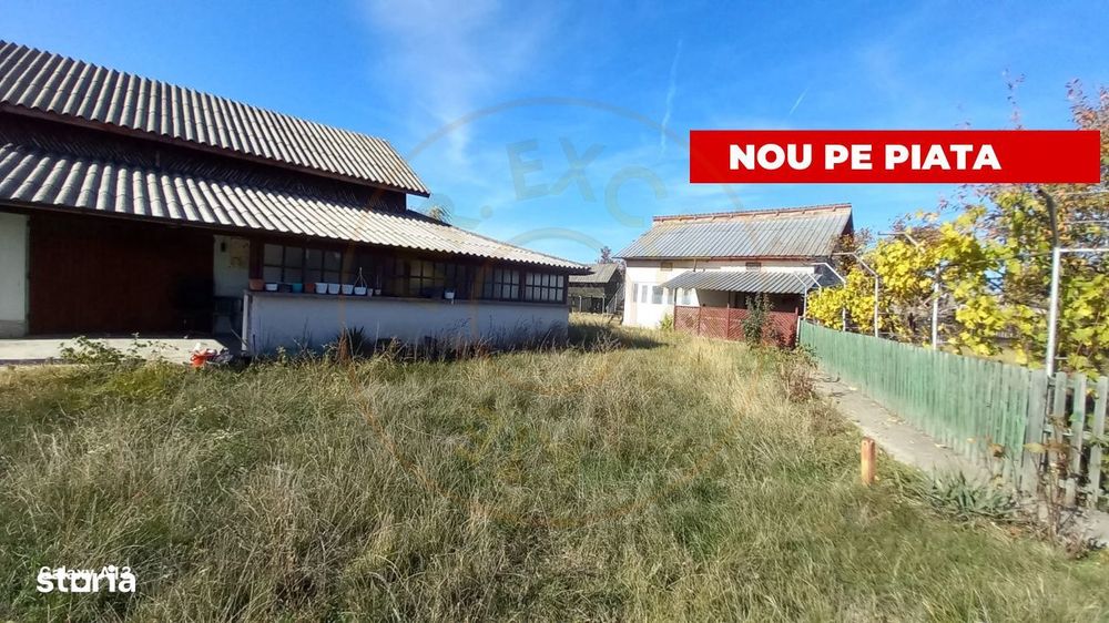 0% Comision!!! Casa Cu Lac In Inima Padurii  - Dealu Bradului