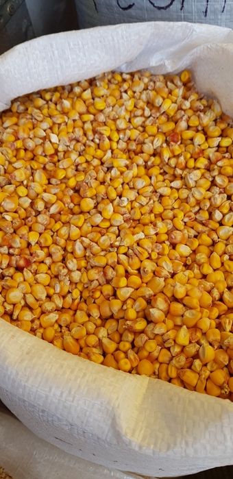 Vand cereale/furaje
