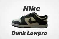 "Nike//Sb Lowpro"