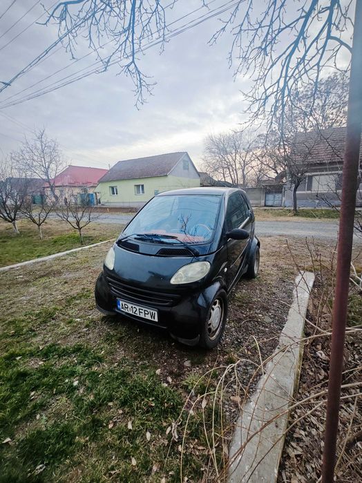 Smart benzina 599