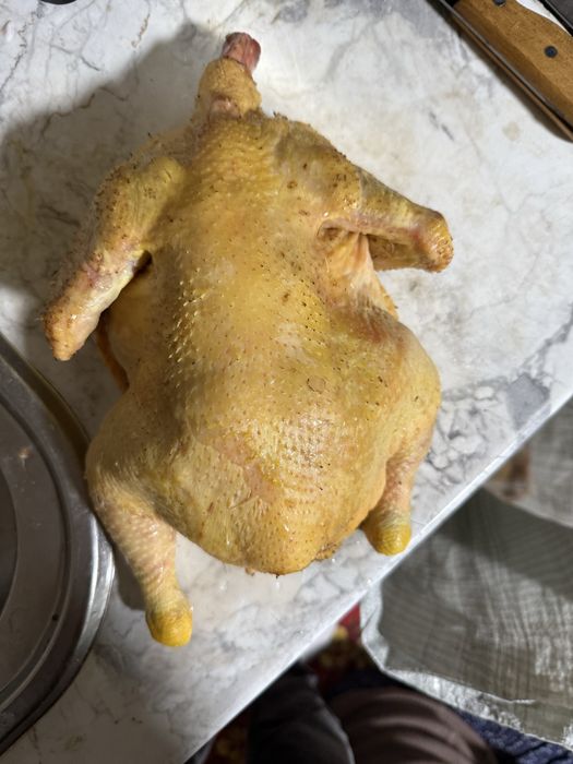 Бройлердын еты бар сойылган тазаланган