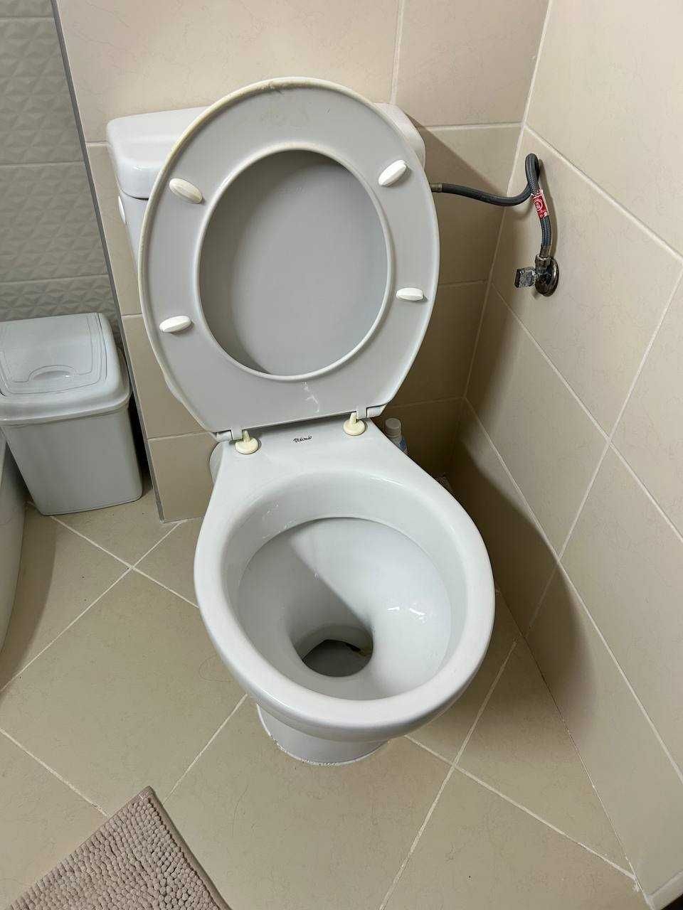 Тоалетна чиния, исползвана