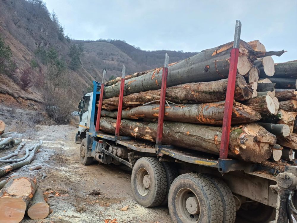 Lemn de Foc Fag !Contra cost se taie si sparg!Cele mai bun preturi !