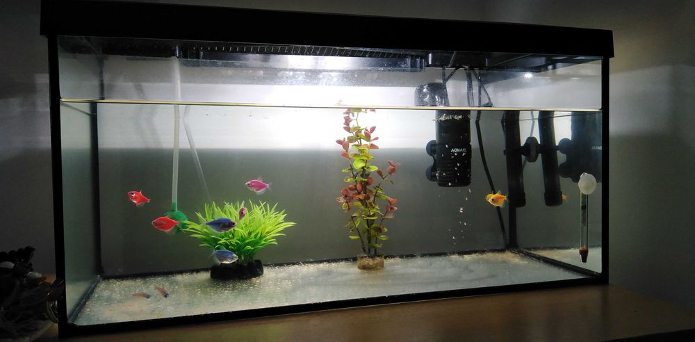 Acvariu Aquael complet echipat