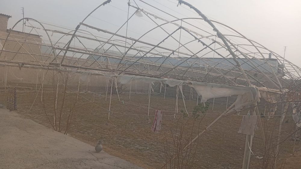 Parnik Teplitsa srochniga sotiladi arzon