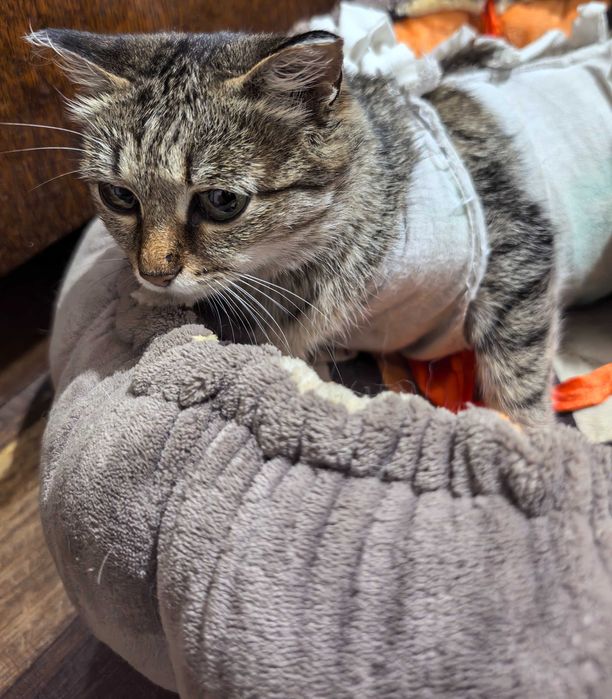 Машенька ищет себе.