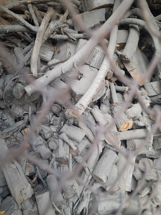 Дрова фруктовых  деревьев,напиленные  для шашлыка