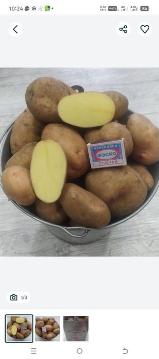 Дачная картошка,хорошего сорта
