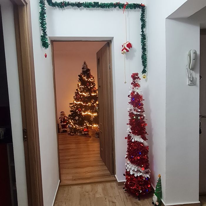 Vând brad Crăciun roșu